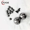 Stainless Steel Ball